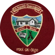 Buaile Beag National School